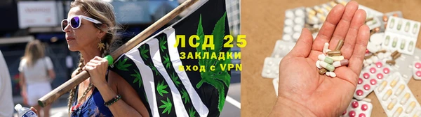 Альфа ПВП Лагань