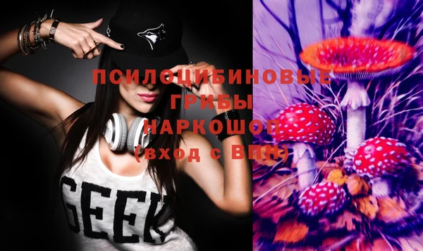 Альфа ПВП Лагань