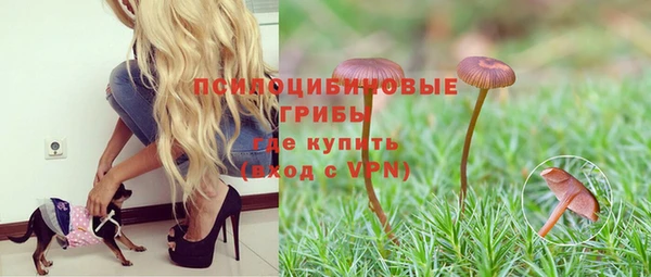 Альфа ПВП Лагань