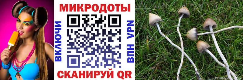 блэк спрут tor  Щёлкино  Псилоцибиновые грибы Magic Shrooms 